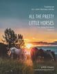 All the Pretty Little Horses Orchestra sheet music cover